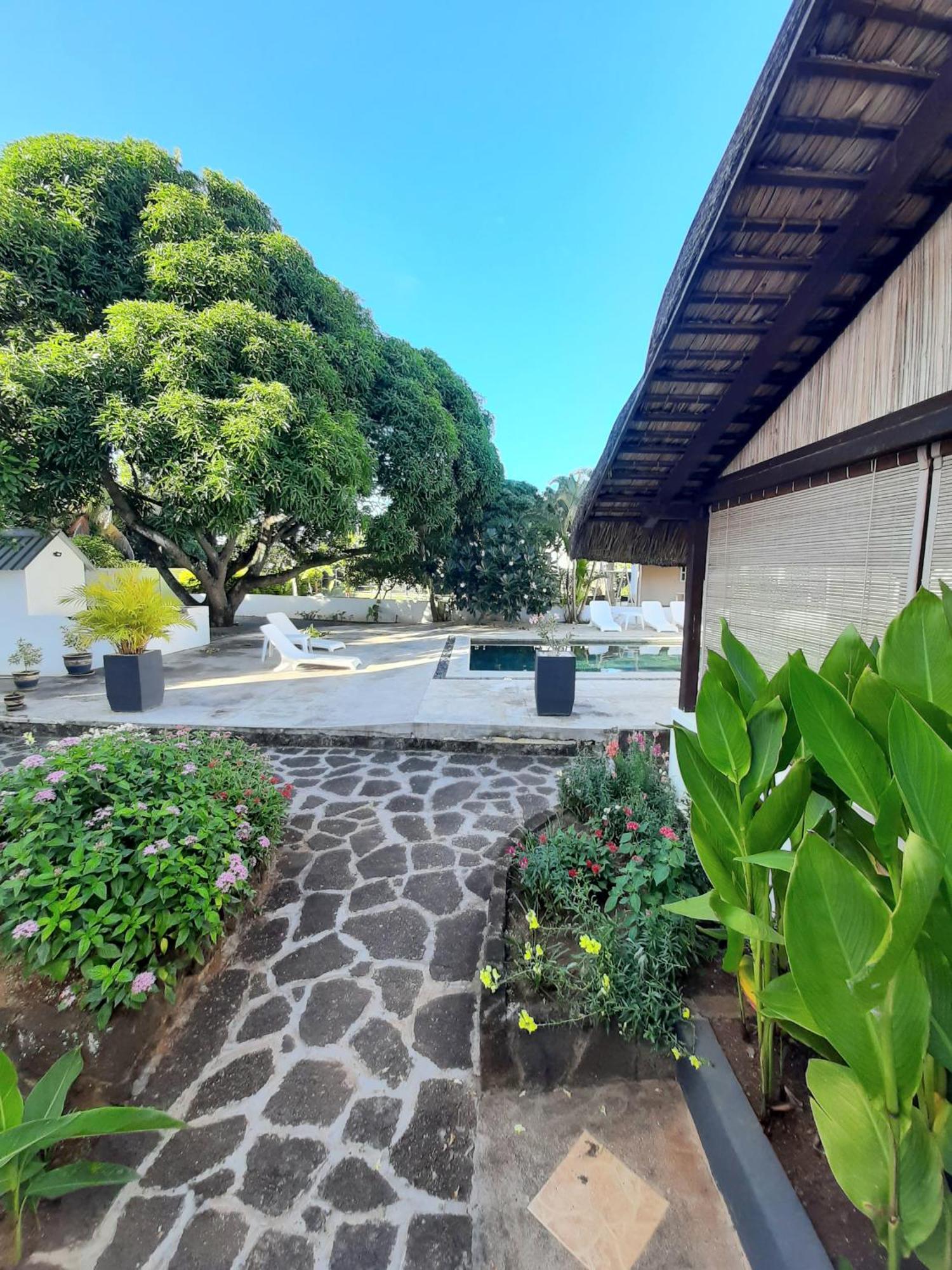 Le Beau Manguier Residence Bed & Breakfast Pereybere Beach Værelse billede